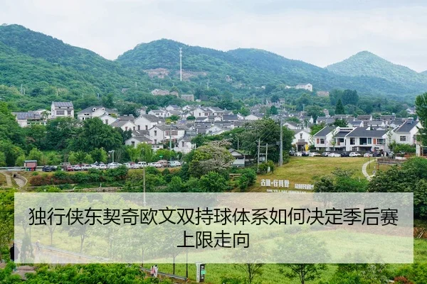 独行侠东契奇欧文双持球体系如何决定季后赛上限走向